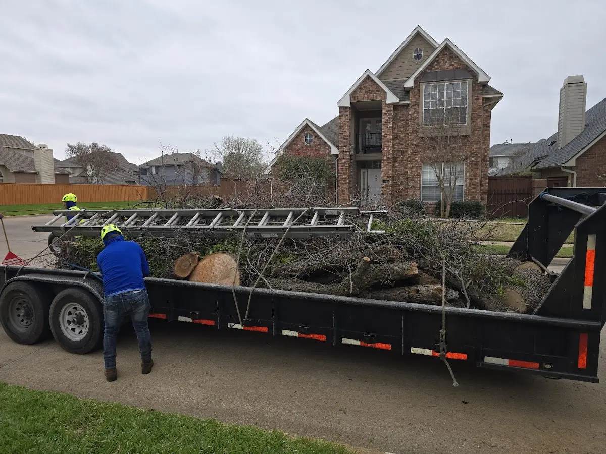 Expert Tree Pest Control with proper safety equipment in Walthall